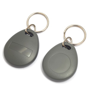 10 Portachiavi RFID Contactless ReadOnly 125KHz